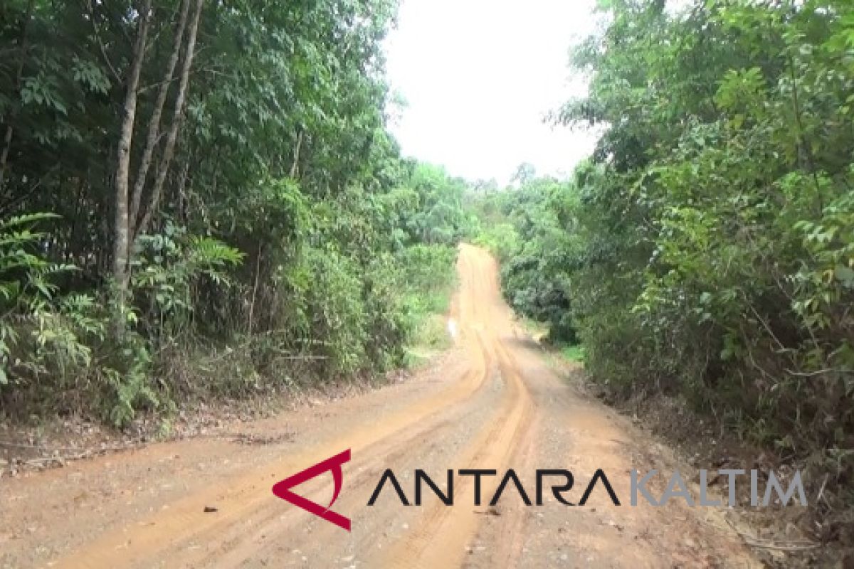 Jalan  Desa Lusan kembali berfungsi