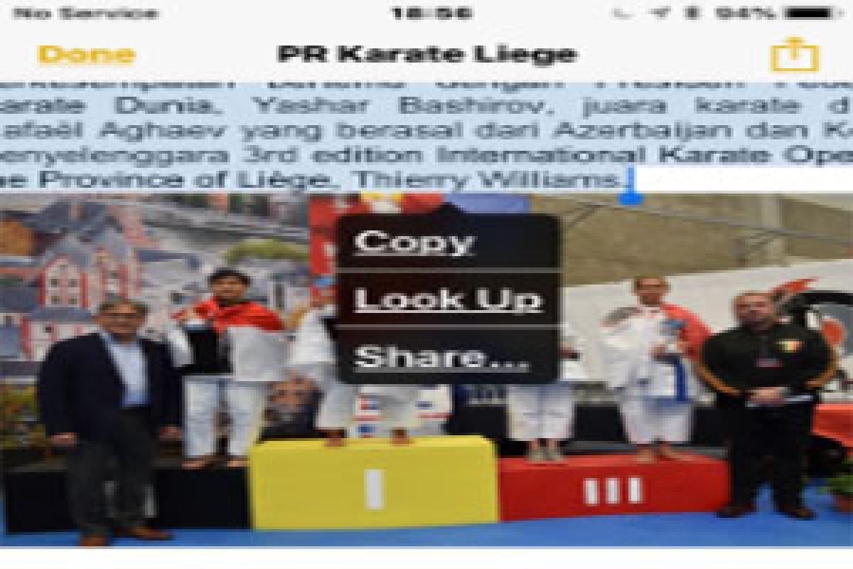 Hebat, Karateka pelajar Indonesia meraih 10 medali emas di Belgia