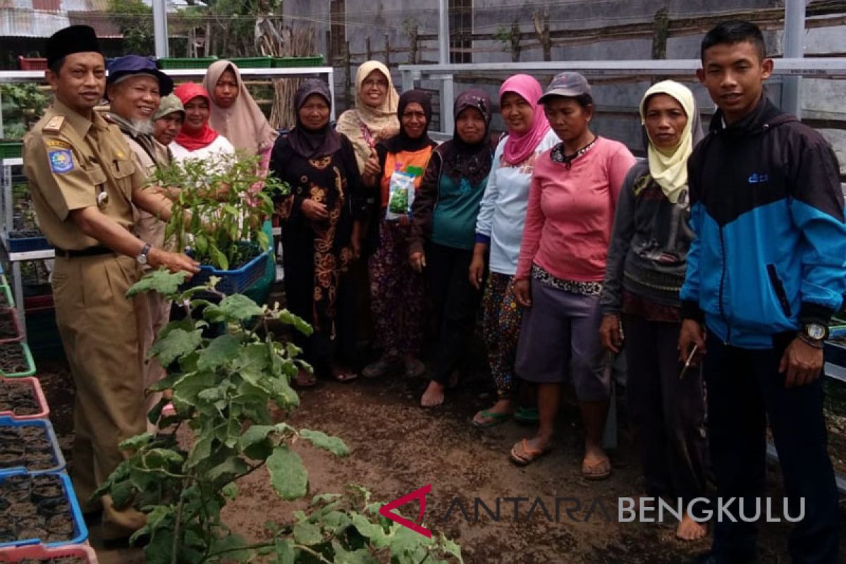 DKP Rejang Lebong berikan pembiayaan dua kelompok wanita tani