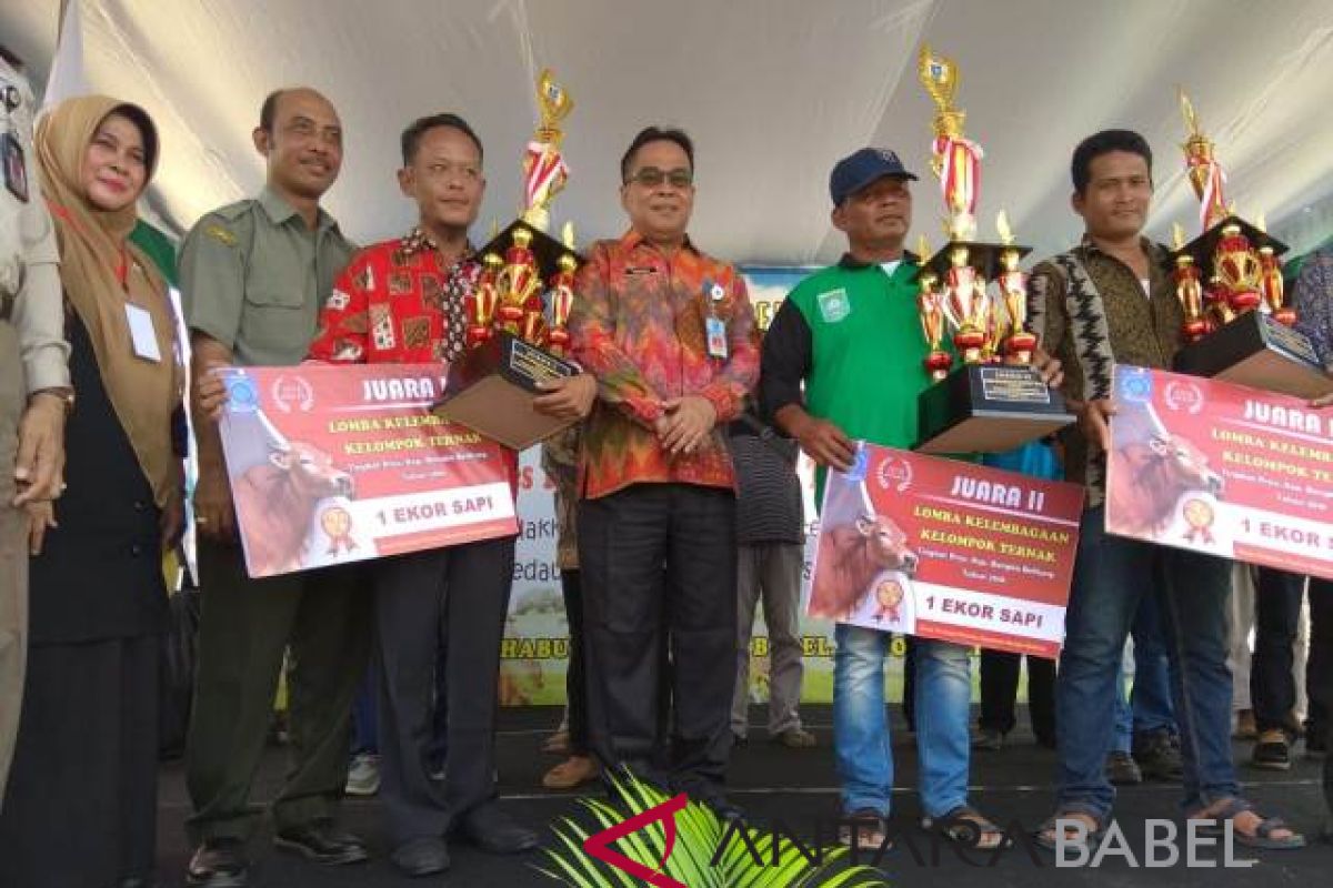 Kelompok ternak Bangka Barat terbaik se-Babel