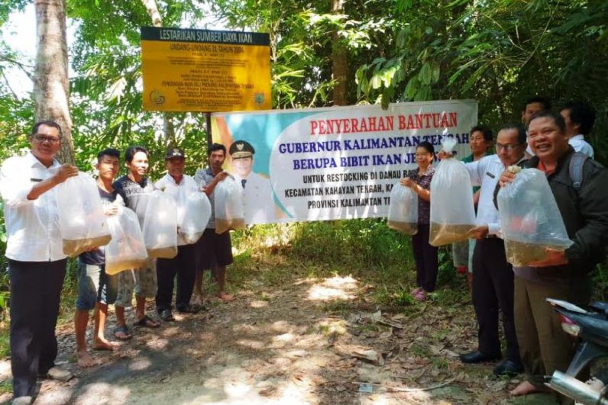 Pemprov sebar puluhan ribu ikan jelawat ke sejumlah Danau