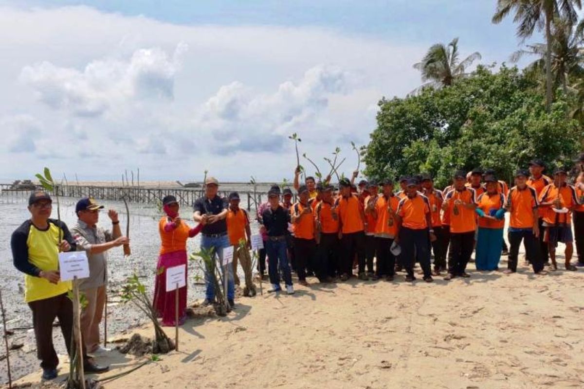 DKP Kalteng tanam puluhan ribu Mangrove di pesisir Kobar