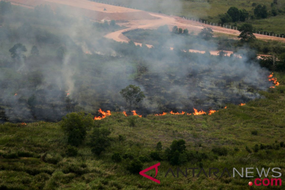 Potensi kebakaran hutan-lahan diprediksi meningkat tahun depan