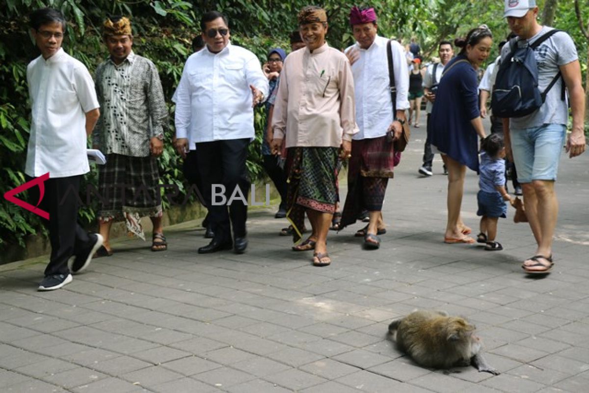 DPR: monkey forest Ubud itu keajaiban