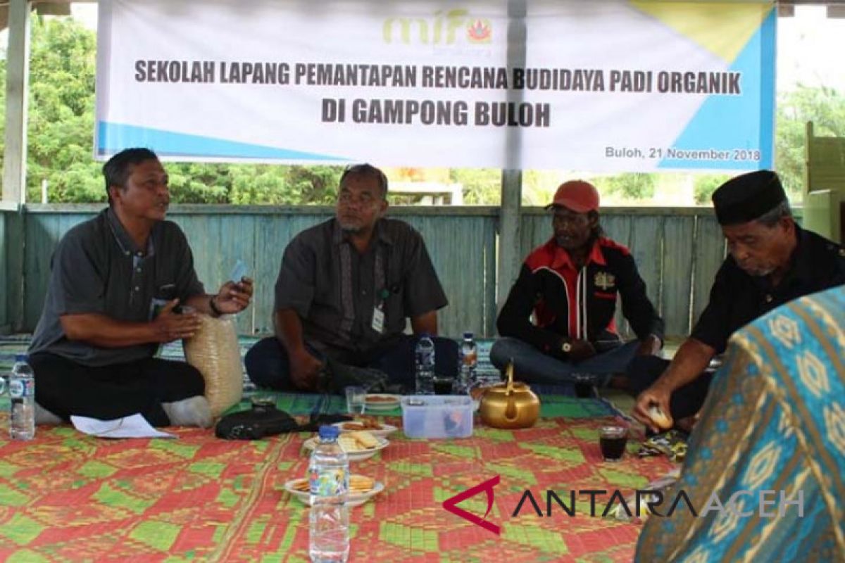 Petani desa Aceh Barat diajarkan bertani padi organik