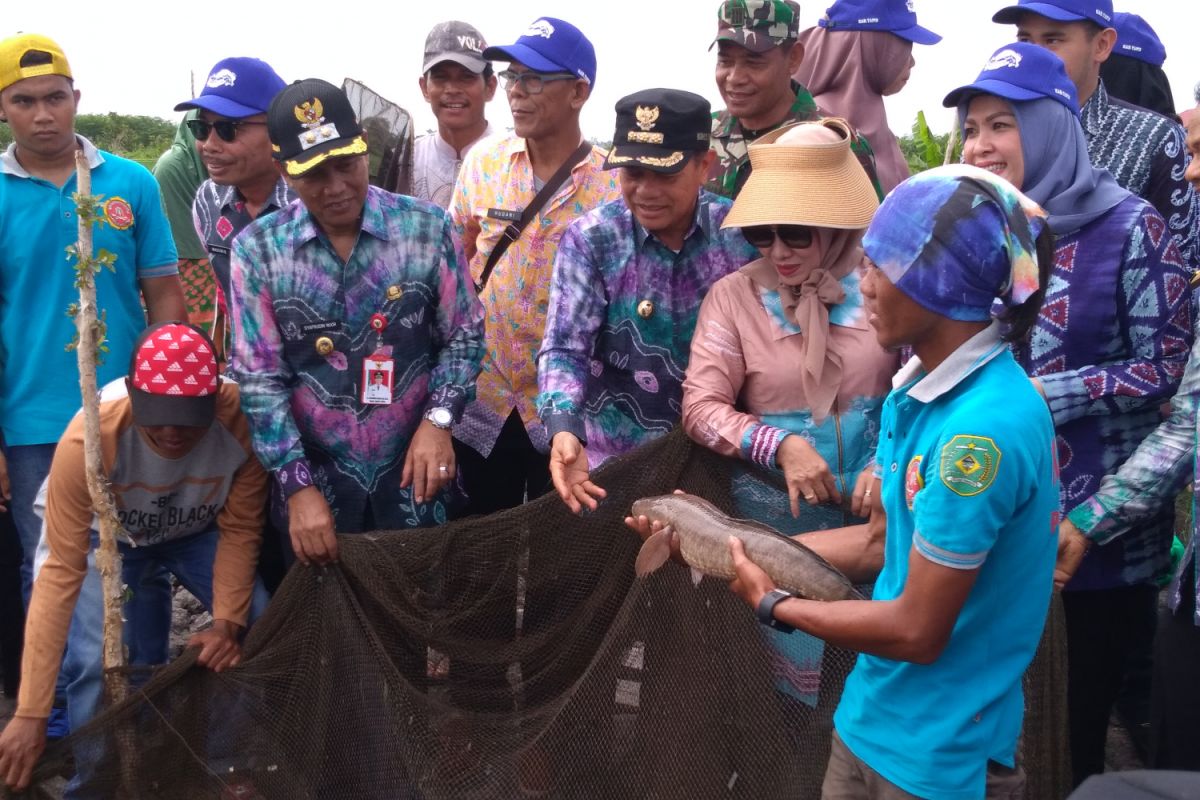 Bupati Tapin Hadiri Panen Raya Ikan Gabus