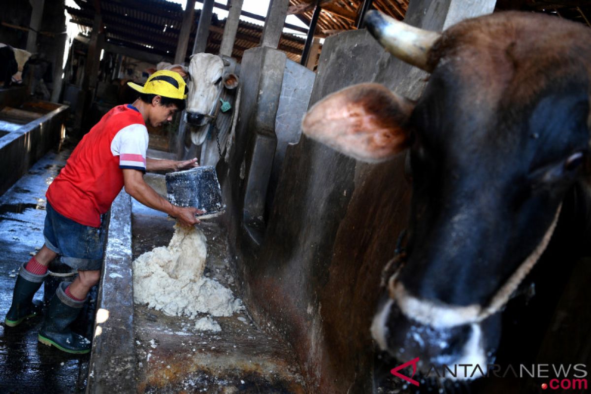 Unu dan Unsoed kembangkan teknologi pengering ampas tahu