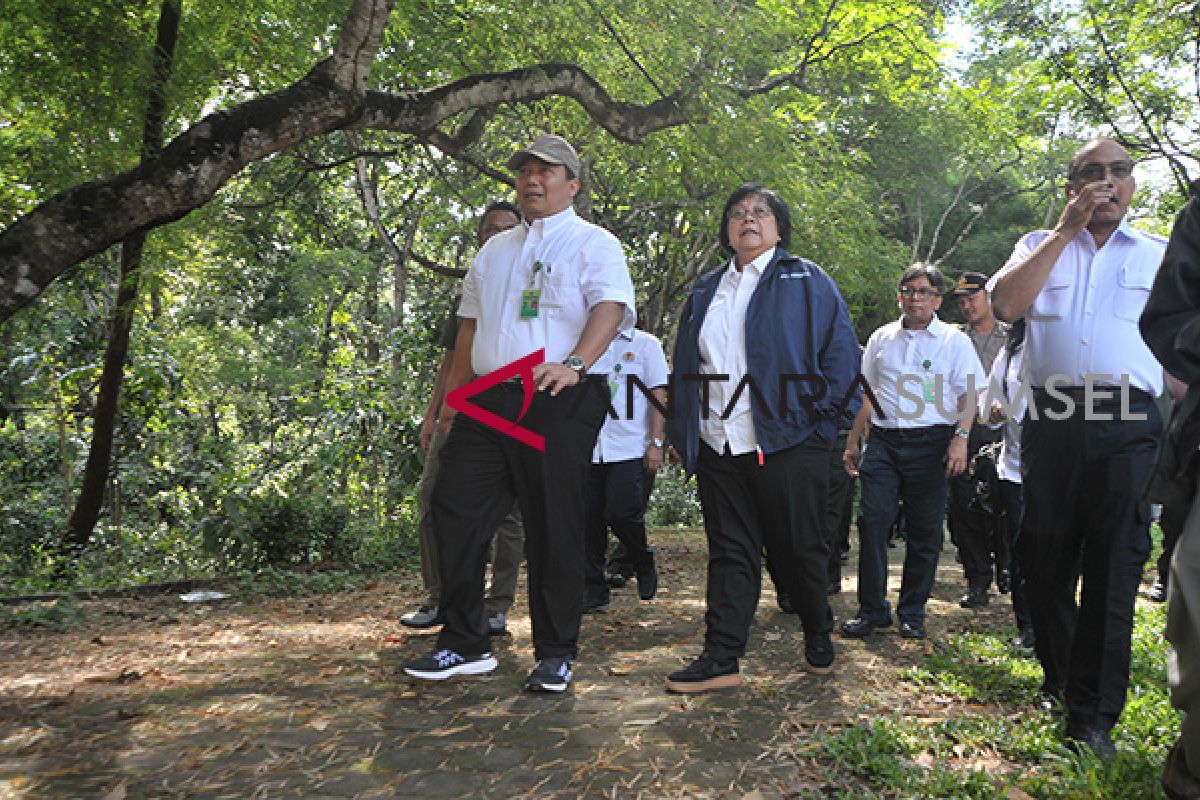 Siti Nurbaya tinjau hutan wisata punti kayu Palembang