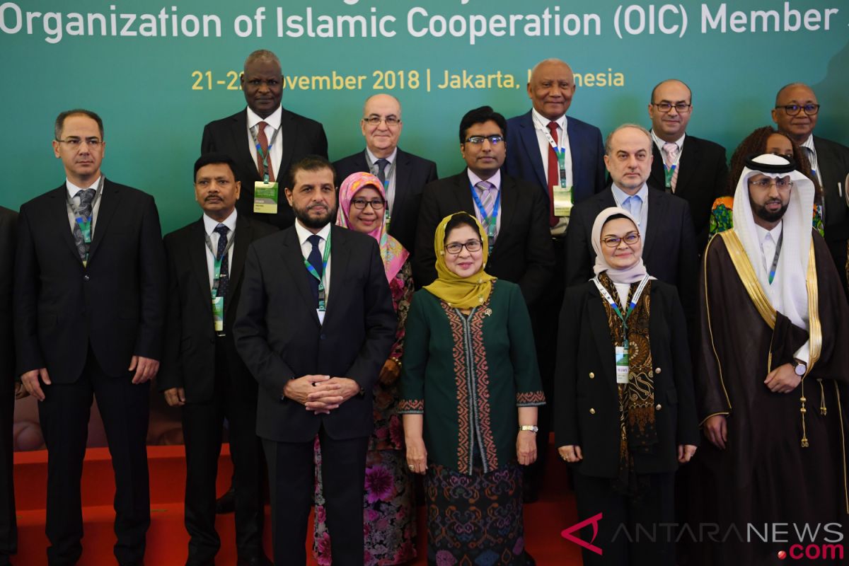 Indonesia has potential to lead OIC in medical sector: Ministry