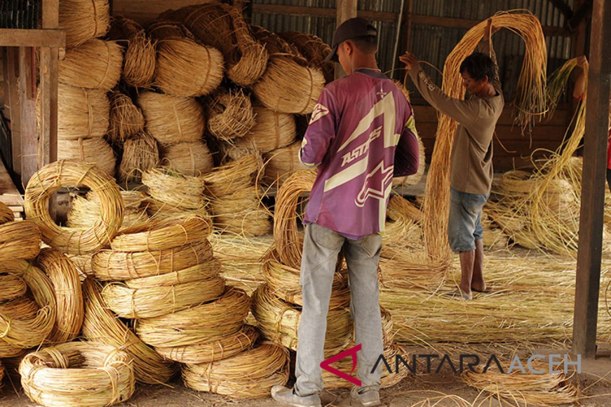 Produksi rotan Aceh