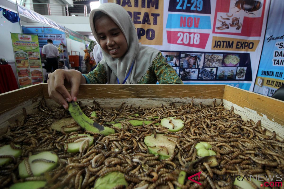 news focus - Pesantren expected to produce young entrepreneurs