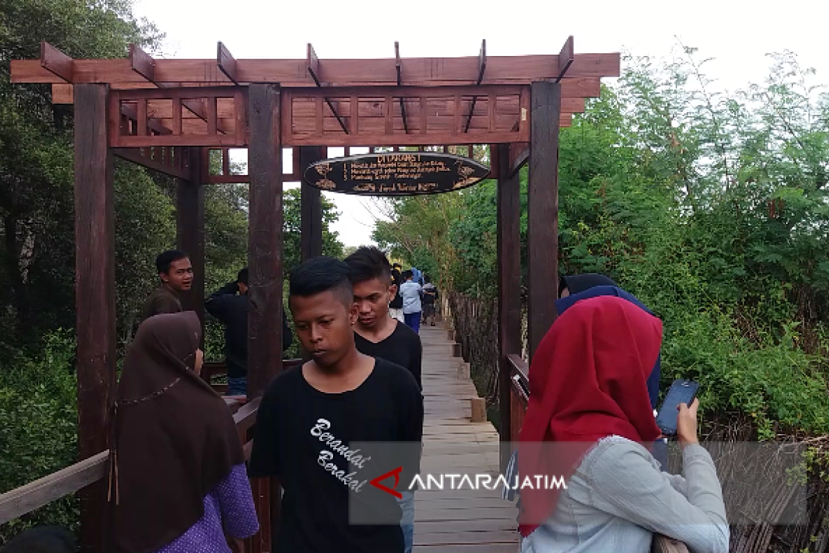 Wisata Kampung Blekok Situbondo Dikunjungi 13.500 Orang