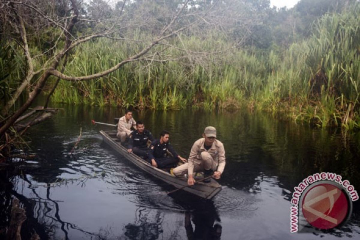 Pengelolaan air kunci sukses pertanian lahan rawa