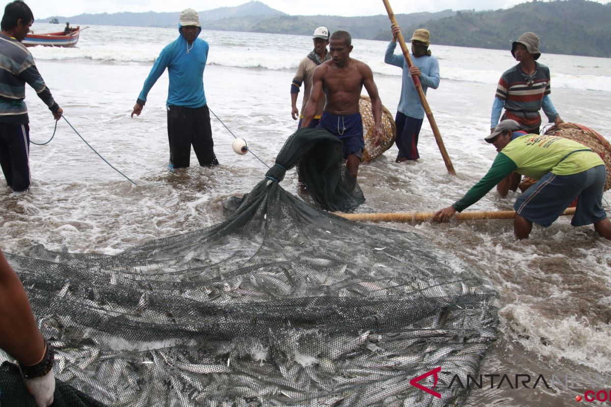 Dua pekan lagi, Pemprov Jatim uji coba aplikasi deteksi ikan