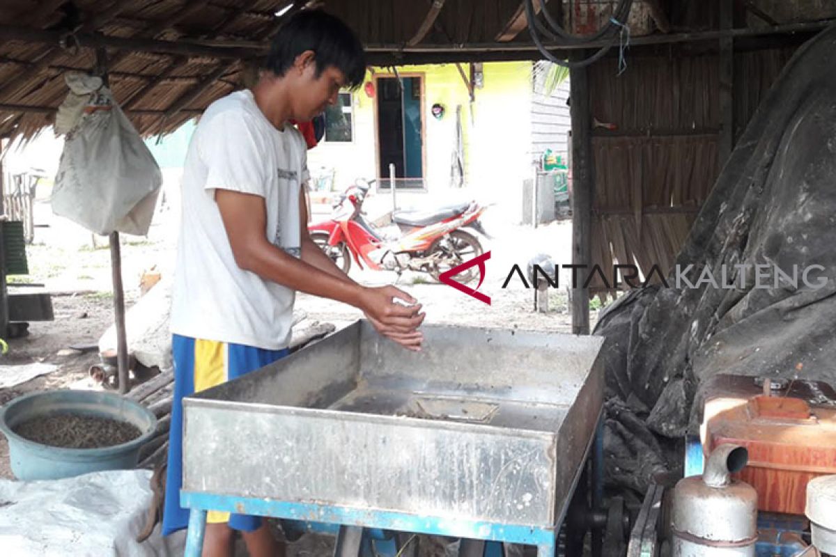 Teknologi bawa pembudidaya ikan Seruyan tinggalkan pembuatan pakan ikan manual