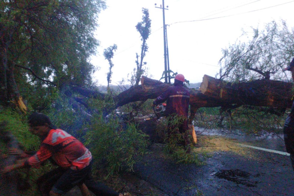 Angin Kencang Melanda Lima Kecamatan di Magetan