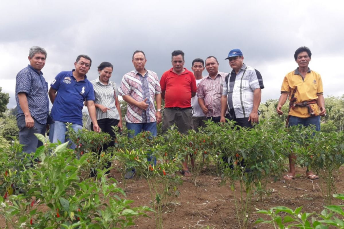 Distan-petani cabai sbd teken mou