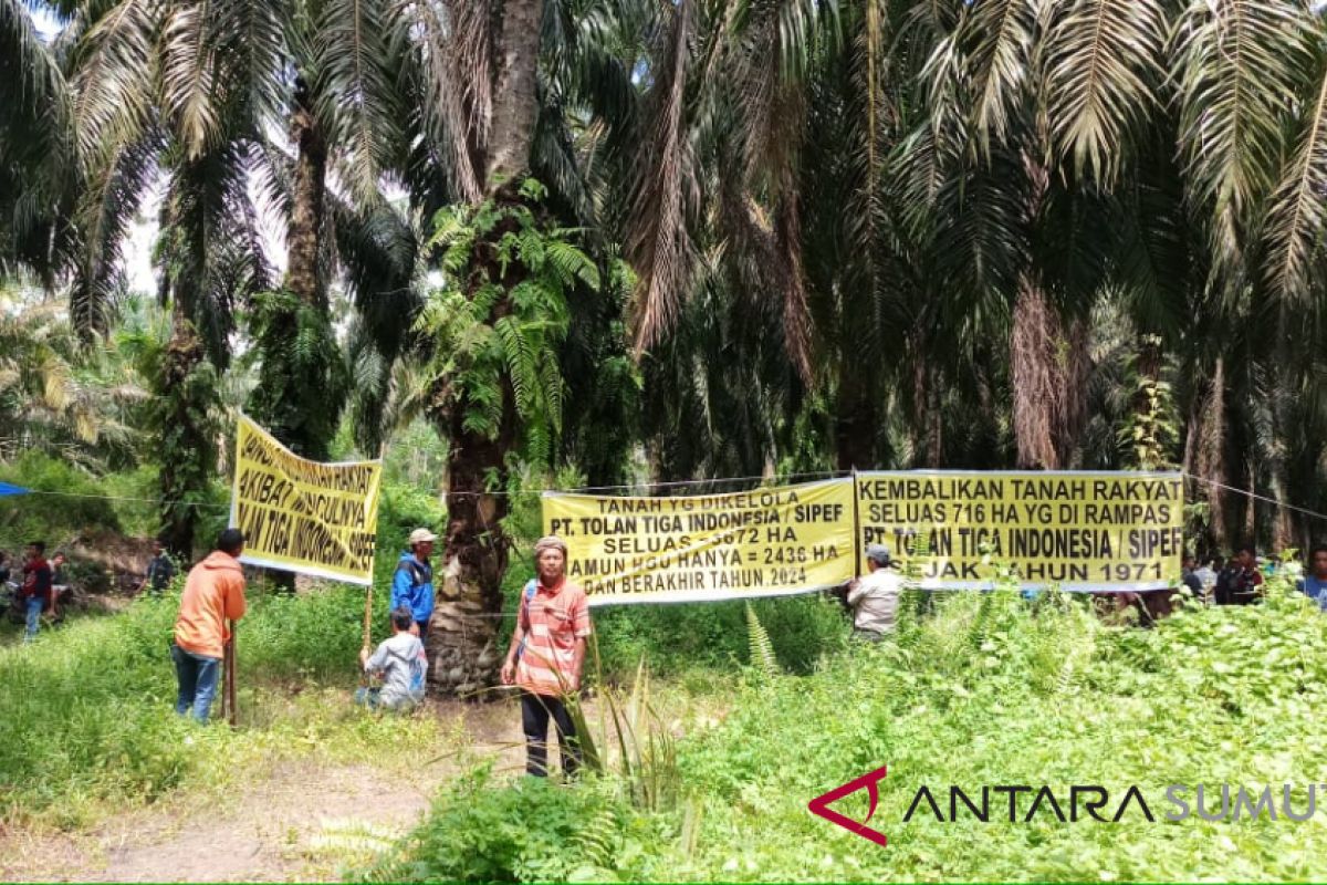 Petani sawit tuntut pembebasan lahan 716 hektar