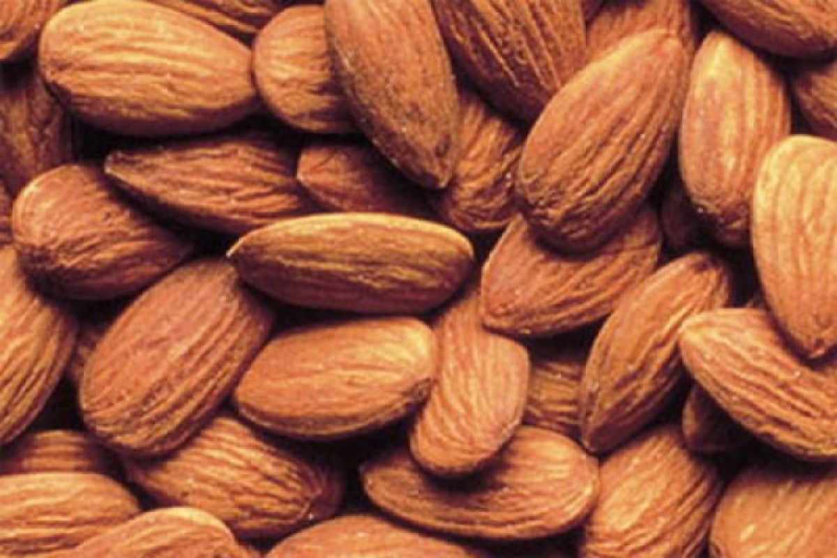 Studi : Almond bagus kurangi risiko kardiovaskuler penderita diabetes tipe 2