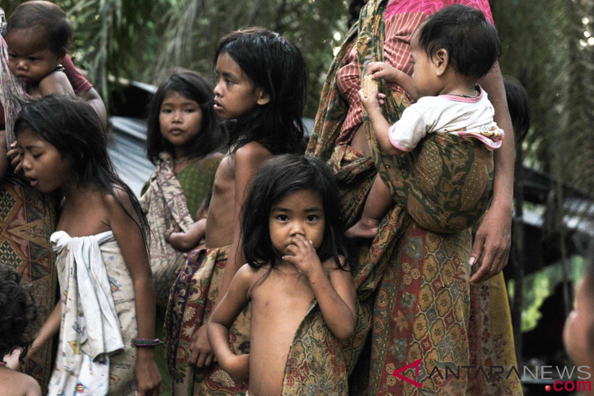 77 kelompok usulkan pengelolaan hutan adat