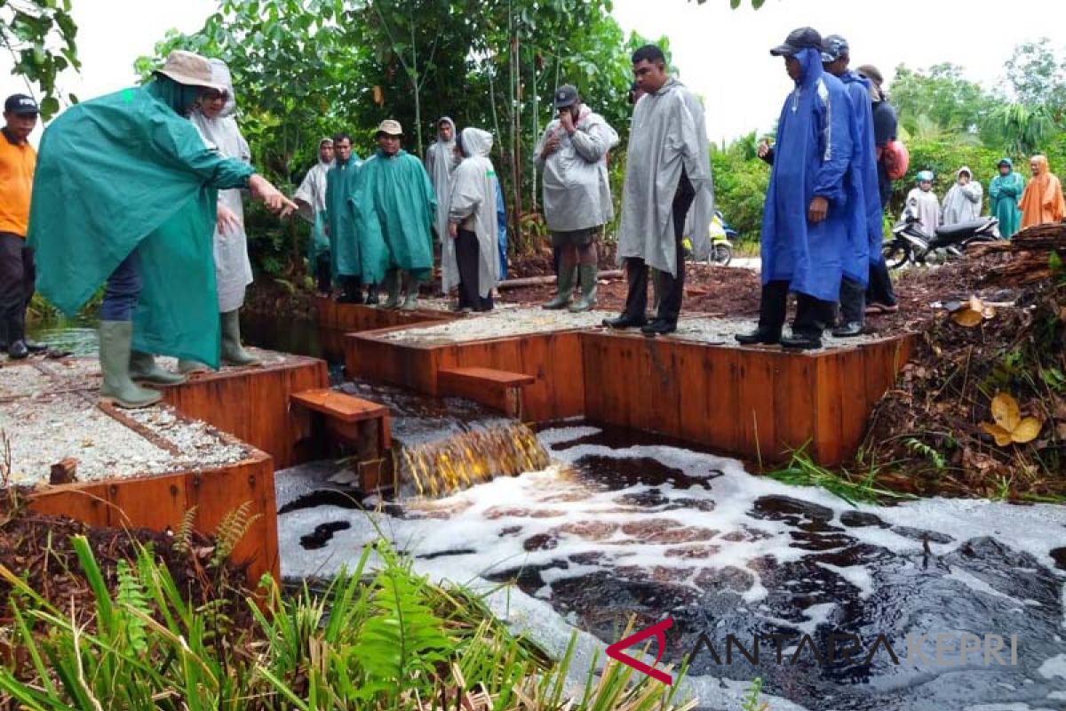 800 hektare lahan gambut Riau direstorasi