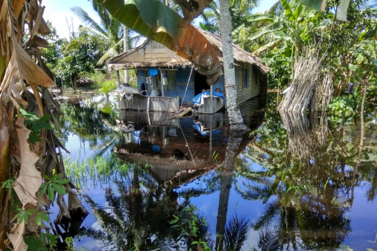 12 kecamatan Kapuas Hulu rawan banjir