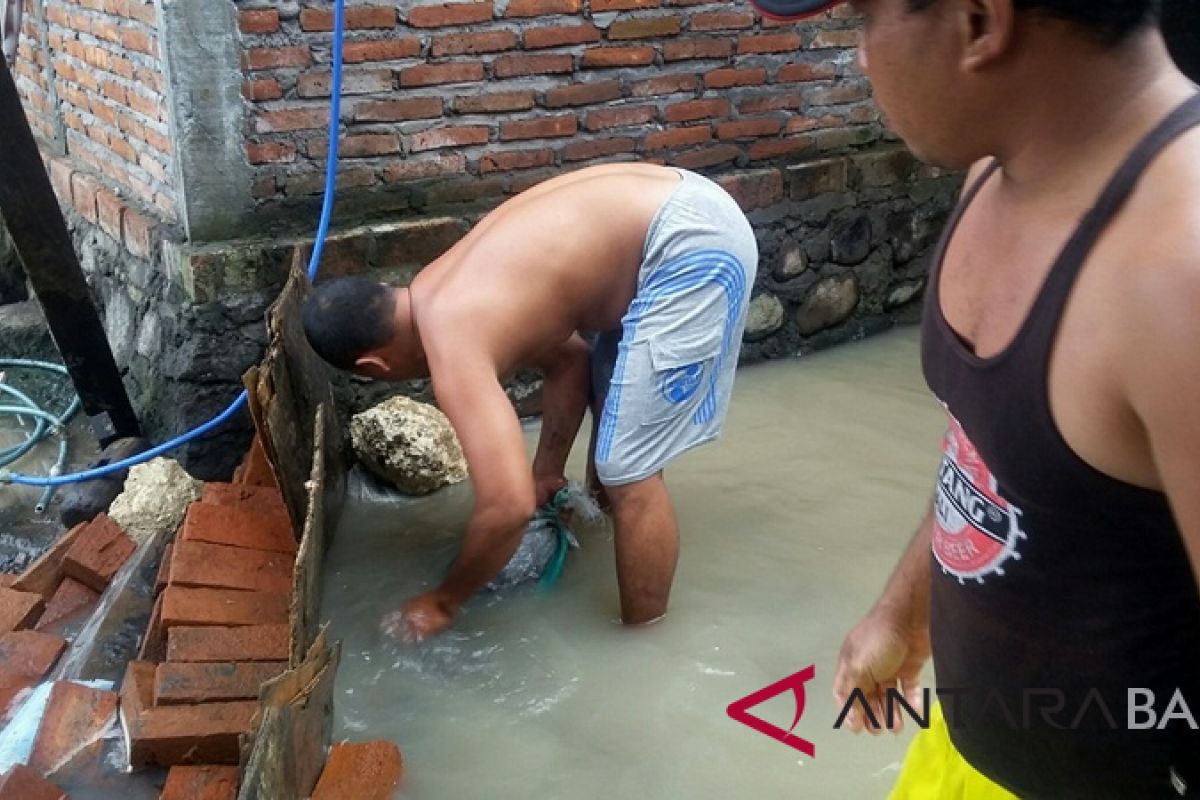 Ratusan rumah warga pesisir Jembrana masih terendam banjir