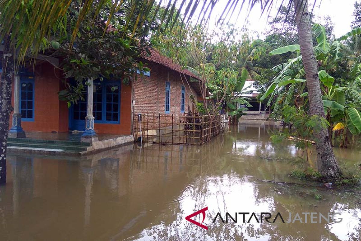 Banjir genangi sejumlah desa di Cilacap (VIDEO)