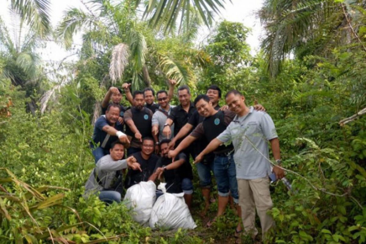 BNN tangkap tiga tersangka jaringan Ibrahim