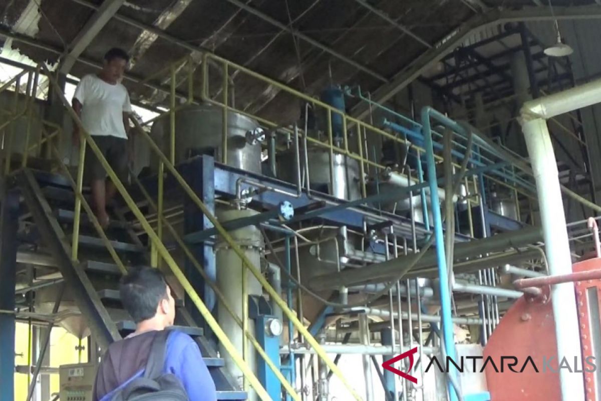 Kotabaru with cooperative to operate biodiesel factory