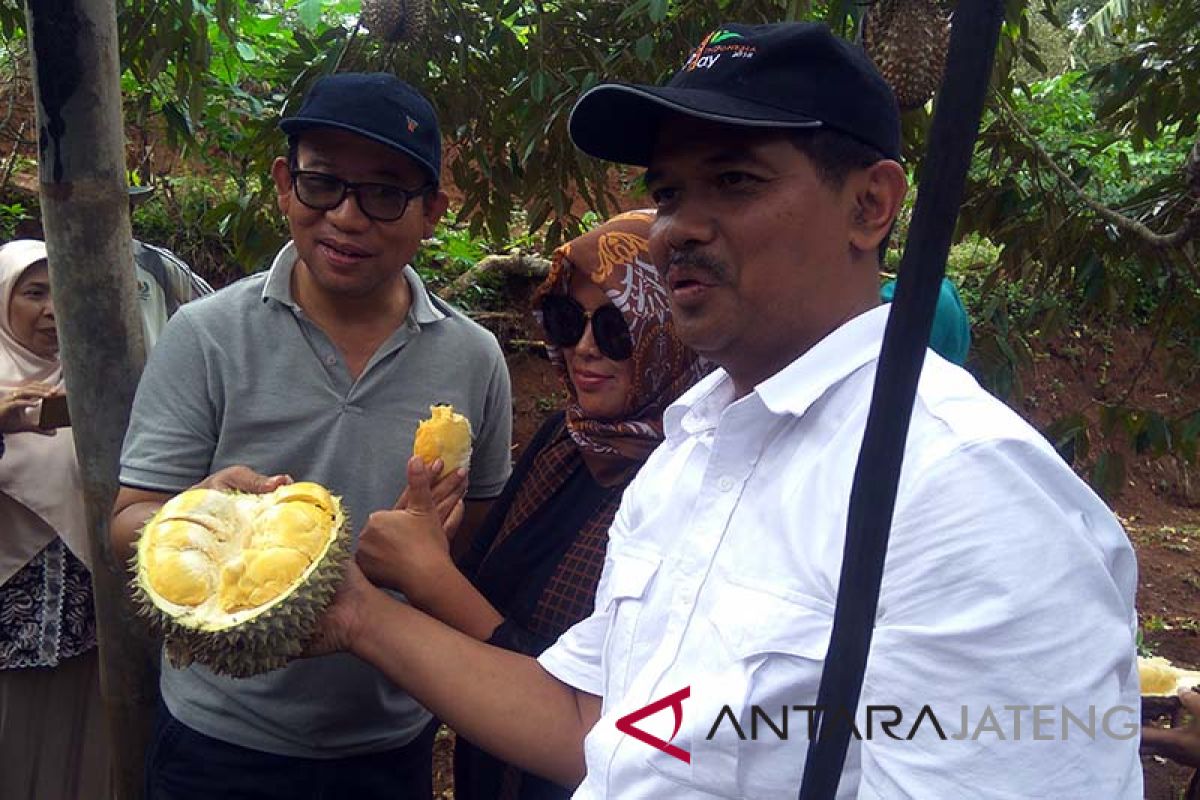 Banyumas didorong kembangkan agrowisata durian