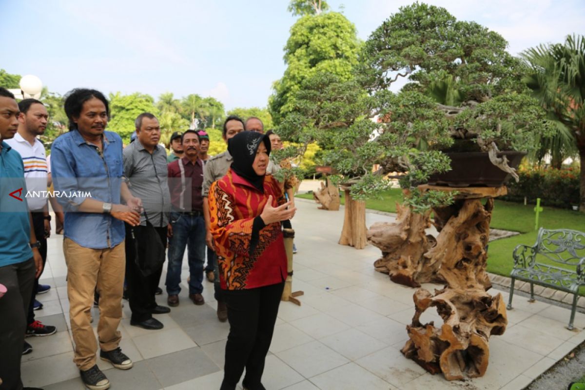 Risma Berharap Festival Bonsai di Surabaya Jadi Agenda Tahunan