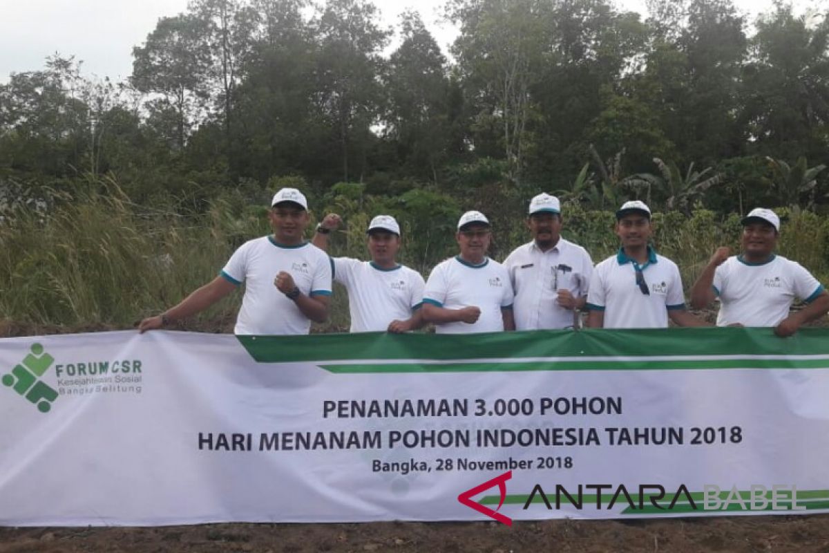 Peringati Hari Menanam Pohon, Forum CSR Babel tanam 3.000 pohon mangrove