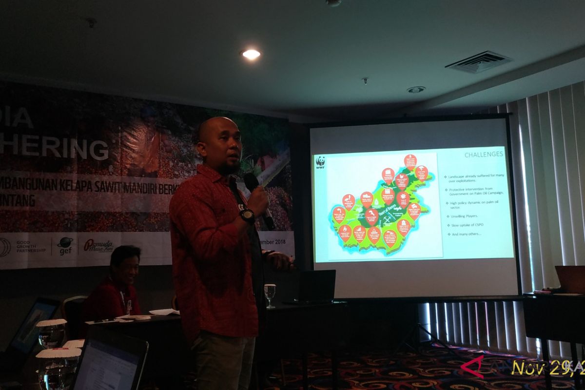 WWF dampingi petani swadaya kelola sawit berkelanjutan