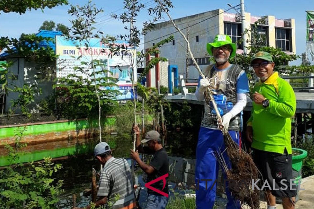 Tree care society plant 300 galam to green Trans Kalimantan