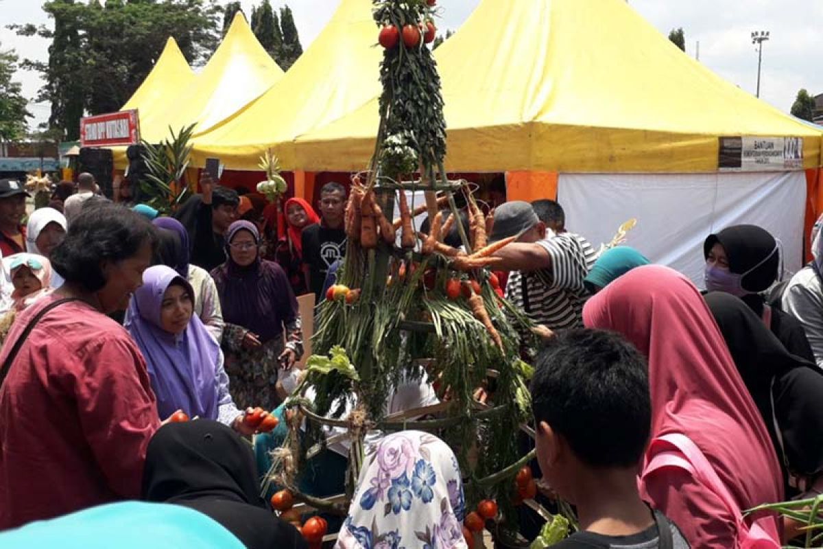 Konsumsi buah warga Purbalingga hanya sepertiga belanja rokok