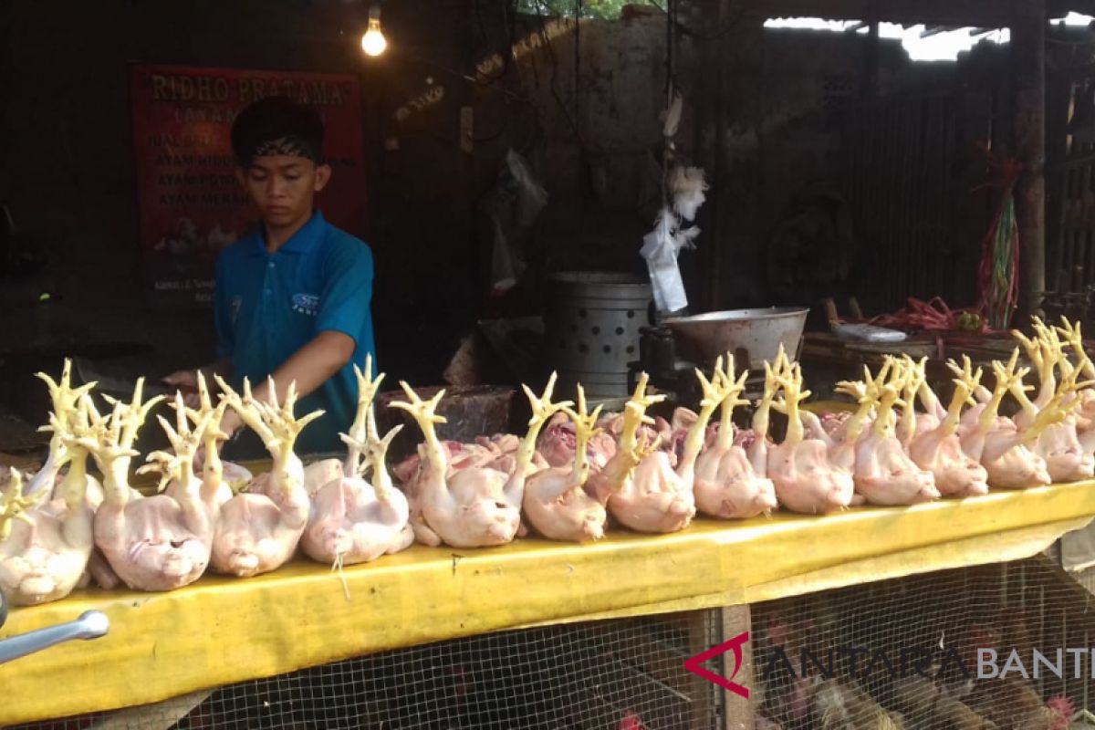 Harga Daging Ayam Dan Telur di Serang Naik