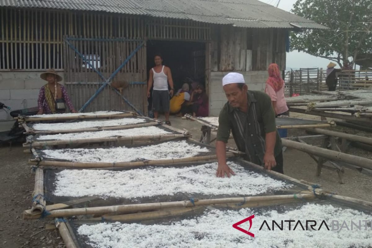 Warga Pulau Panjang Kembangkan Usaha Teri Asin