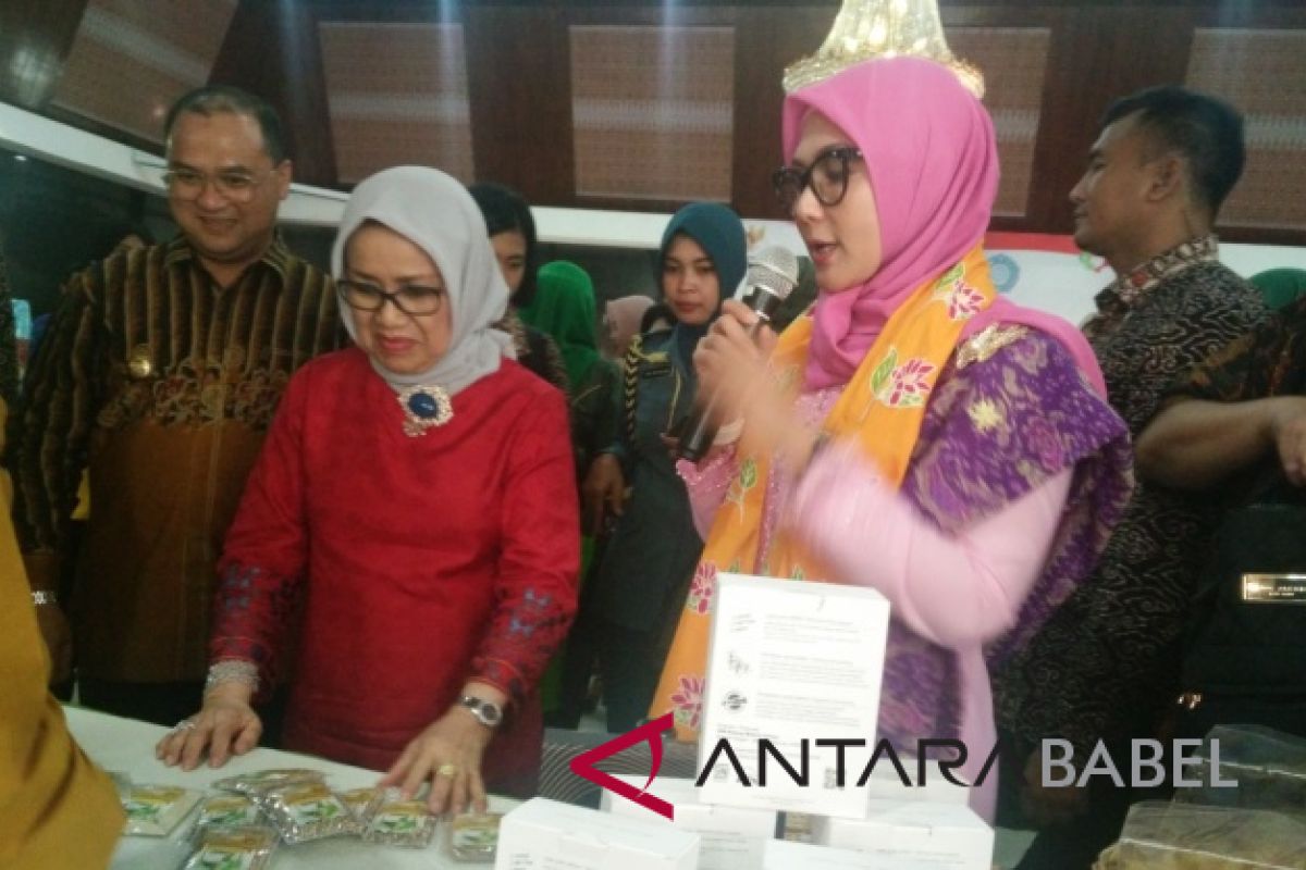 Mufida JK kunjungi pameran Kriya Bangka Belitung