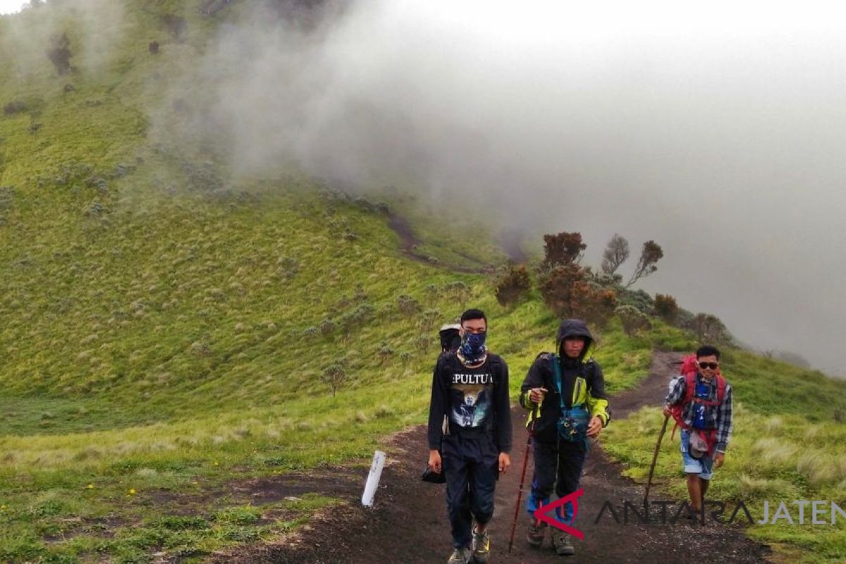 Kembali dibuka, jumlah pendaki ke Merbabu Boyolali meningkat