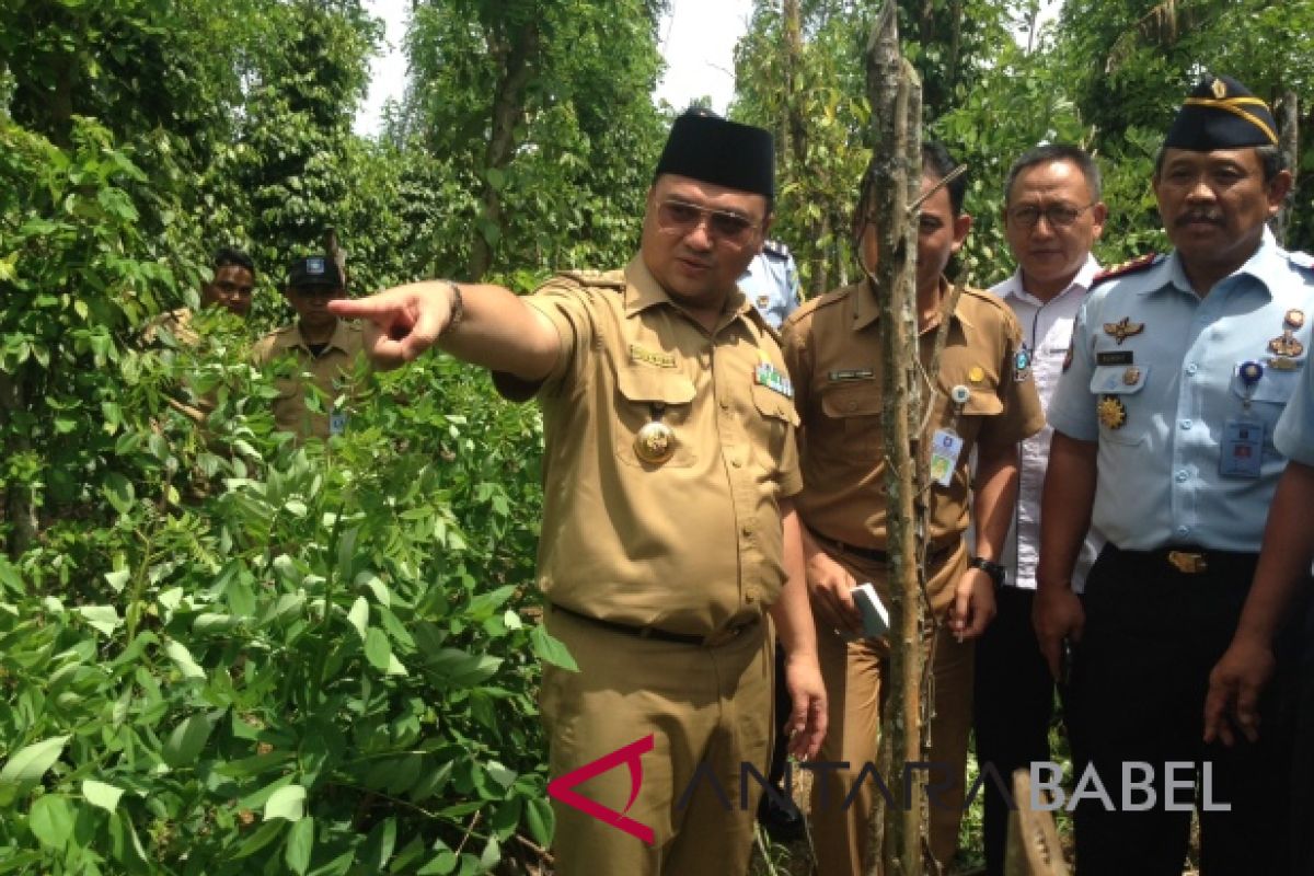 Gubernur Babel kunjungi kebun lada Lapas Pangkalpinang