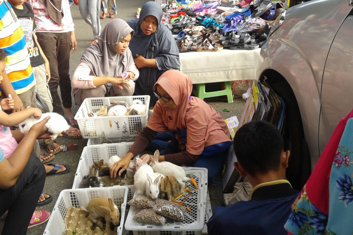 Pedagang kelinci edukasi anak untuk beternak