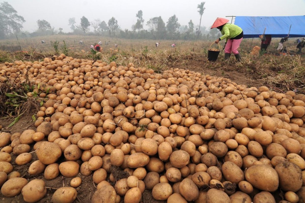 Anak petani Magelang ikuti GSEA 2019 di Makau