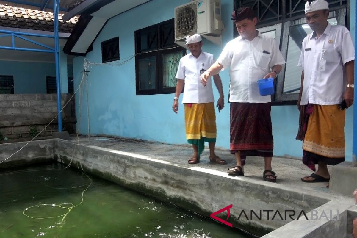 Bupati Klungkung motivasi pegawai untuk inovatif