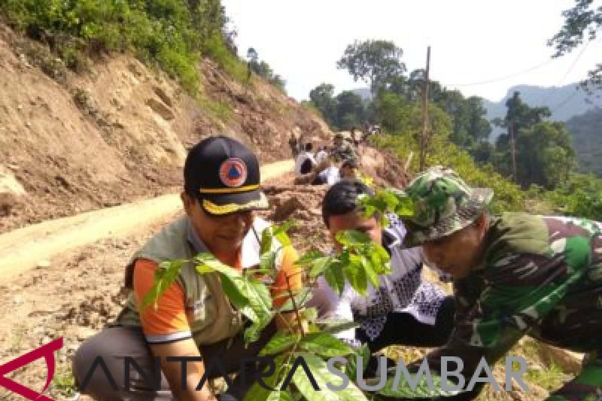 Kodim 0310/SS-BPBD Sijunjung laksanakan penghijauan