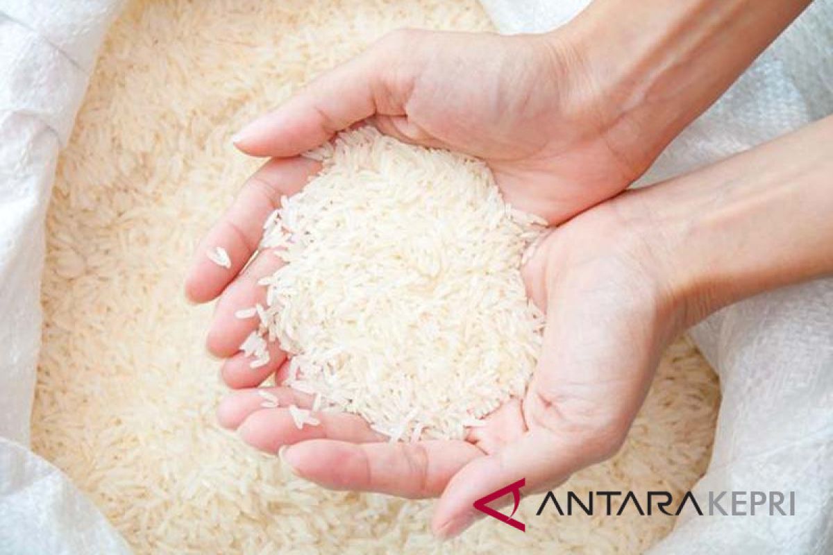 Konsumsi beras di Kepri sekitar 195.272 ton