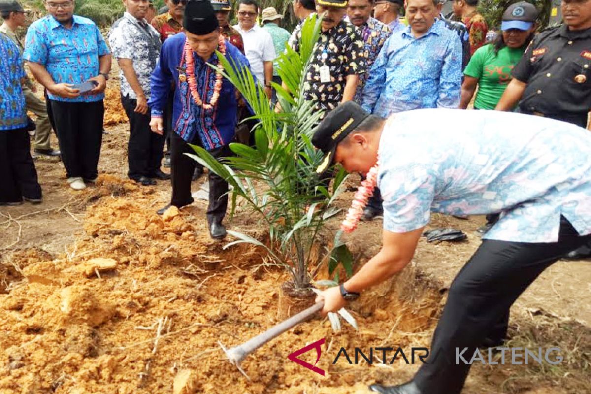 Lamandau gelar Tumbang Serempak dan tanam perdana kelapa sawit