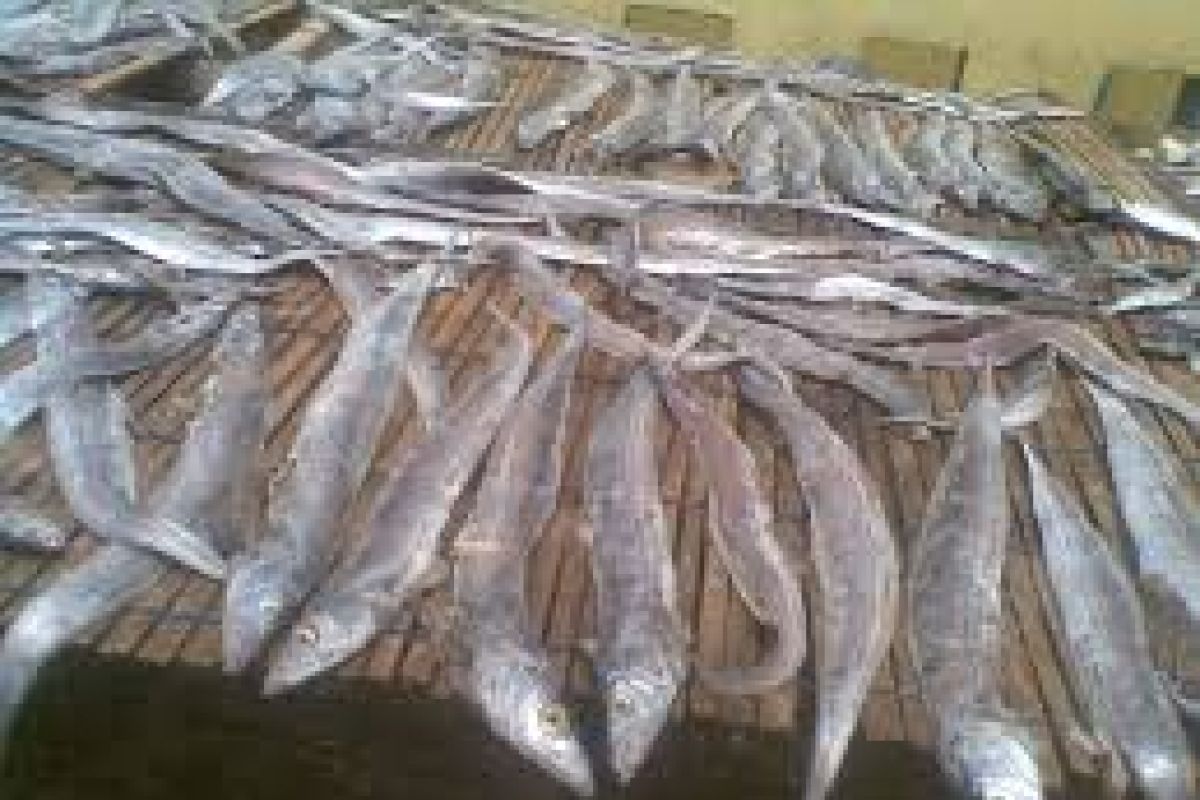 Pemkab Tangerang temukan ikan berformalin dijual bebas