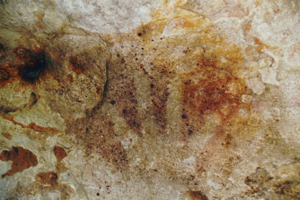 BPCB explores prehistoric rock art in Kisar
