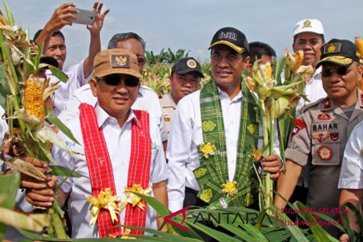 Kementan bantu benih gratis bagi petani Sulbar